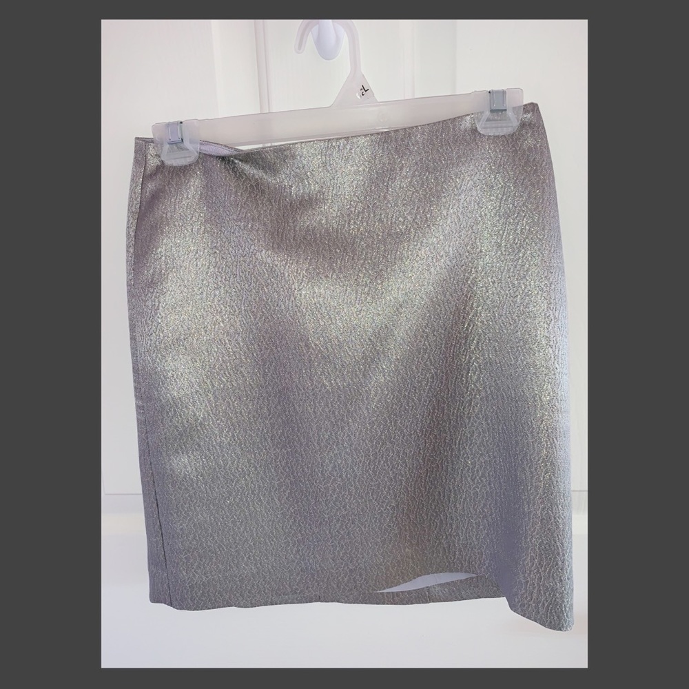 AnnTaylor Silver Shimmer Skirt